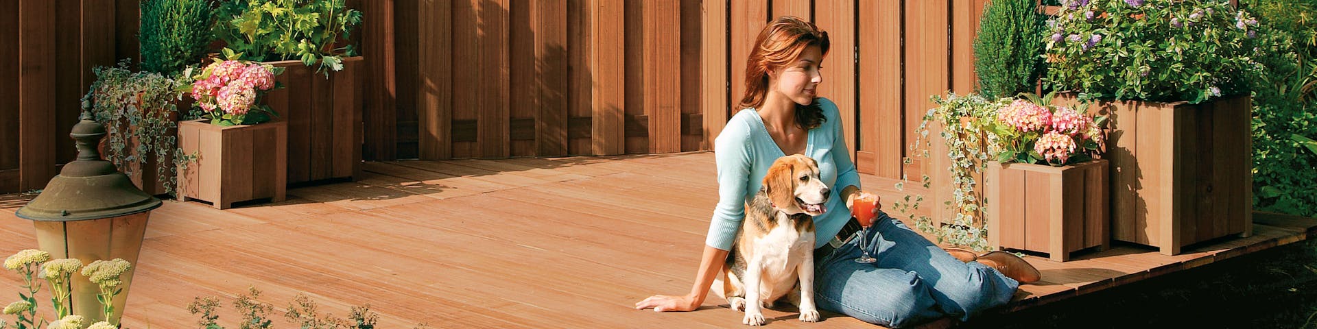 hello banner background image