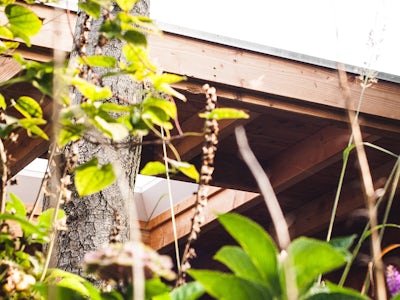 project33_6 project33_6