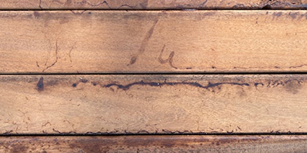 probeersel 2 probeersel 2