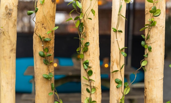 kastanjepaal-sfeer kastanjepaal-sfeer