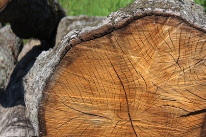Meer weten over hout?