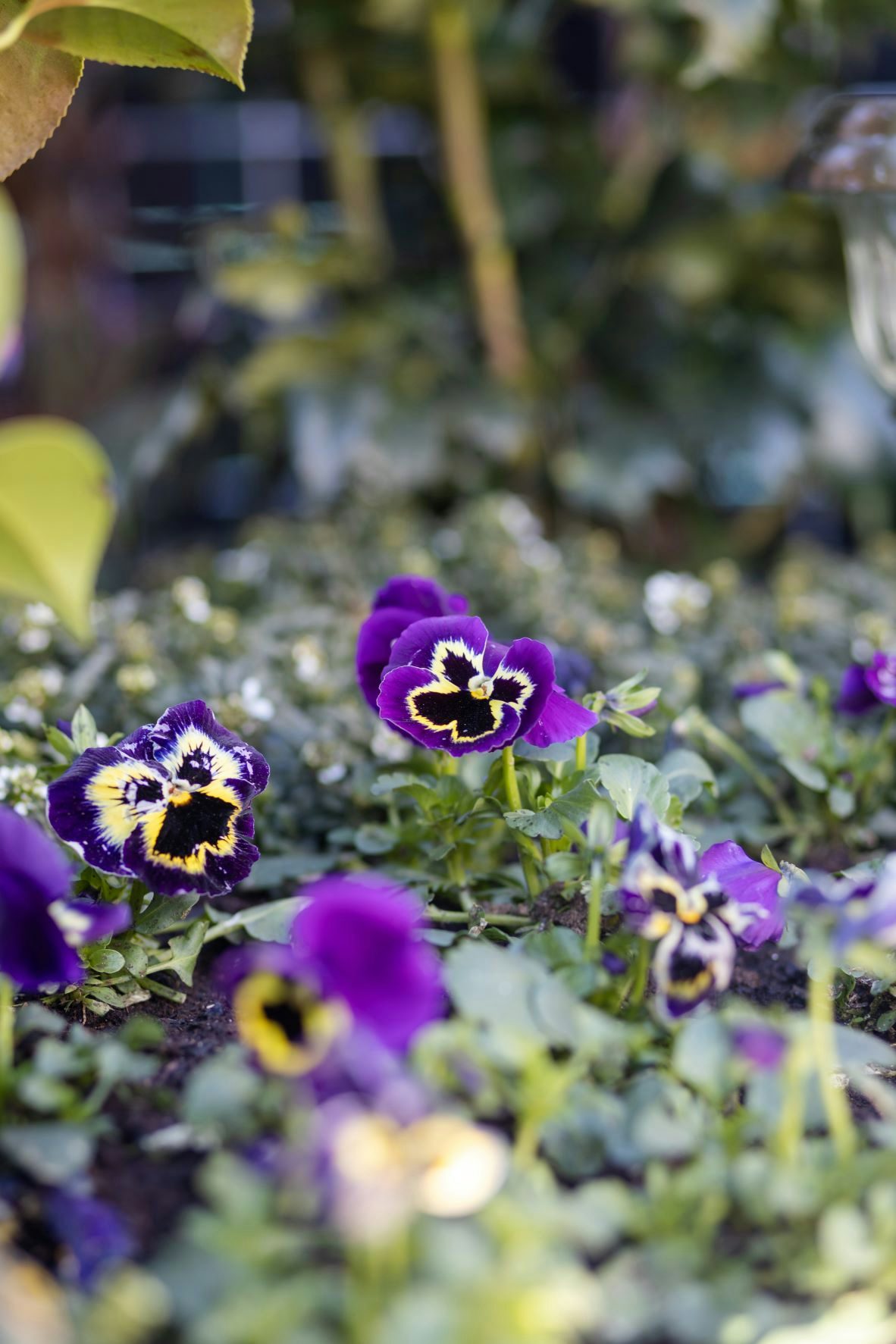 Project Gouda NuBuiten tuin Westwood buitenverblijf