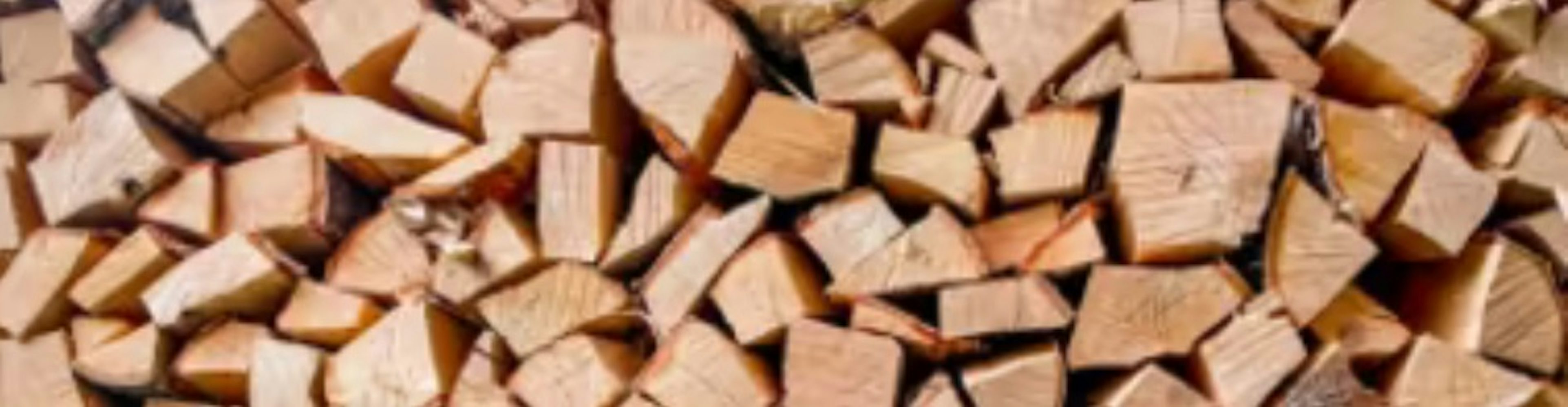 Productadvies hout boomstammen