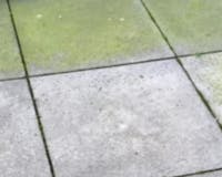 groenaanslag Hoe onderhoud ik mijn bestrating? Groenaanslag