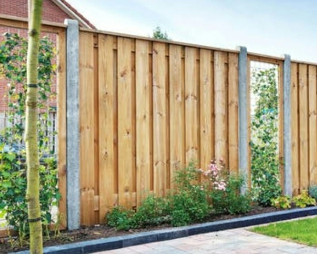 Hout betonschutting groen planten gras tuin