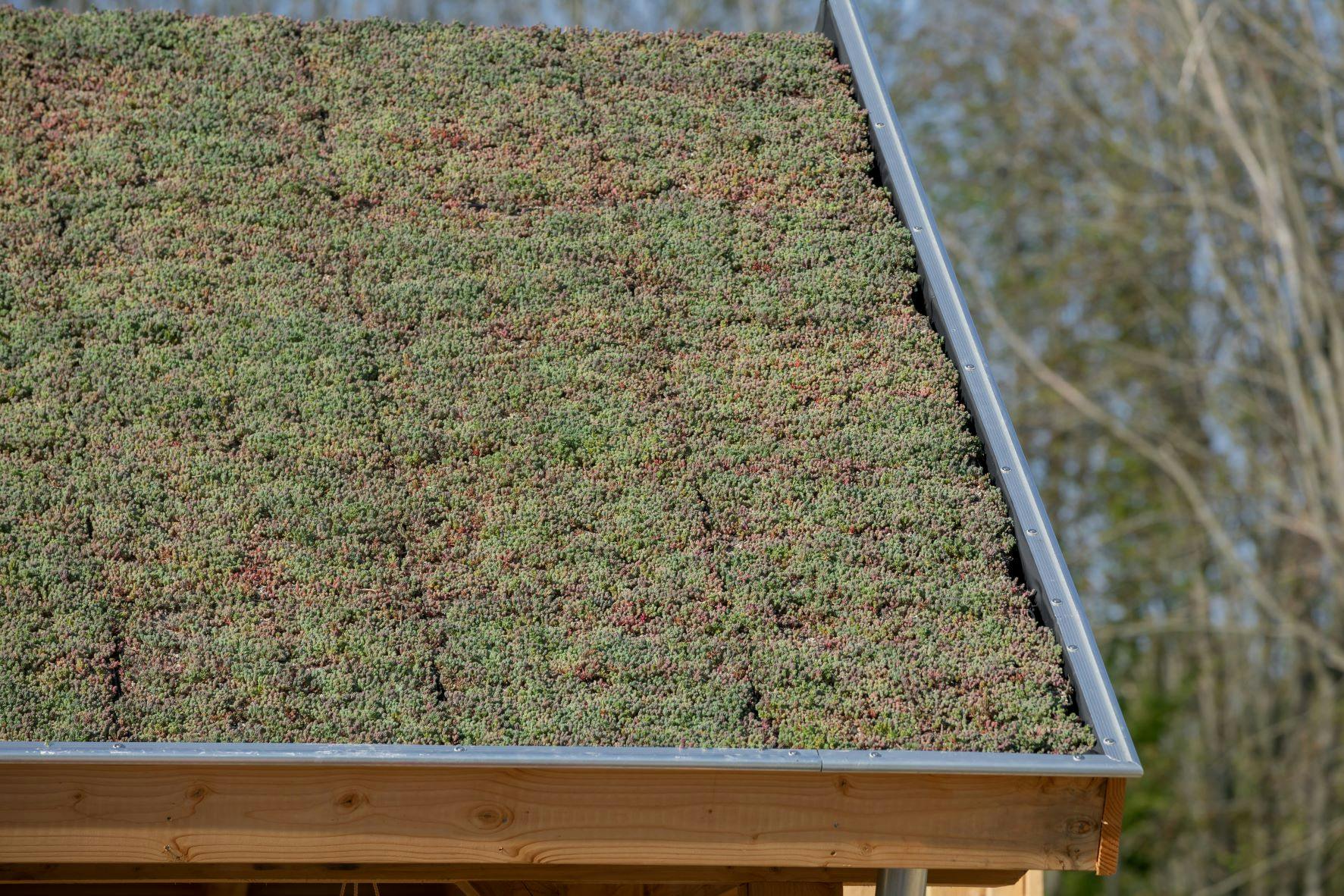Floriade 2022 zadeldakschuur met groen dakpakket