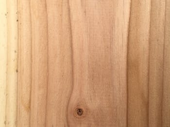 Grenen – pagina – houtrot Grenen hout houtrot