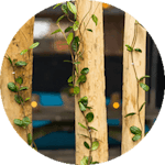 Kastanje tuinhout hout nubuiten hekwerk constructiehout