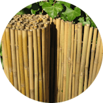 Natuurlijks schutting bamboe