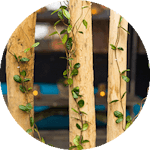 natuurlijke afrastering tuin kastanje hout palen