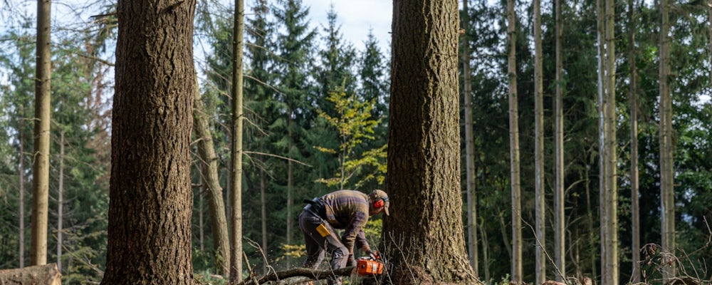Houtzagerij Ardennen Houtzagerij Ardennen