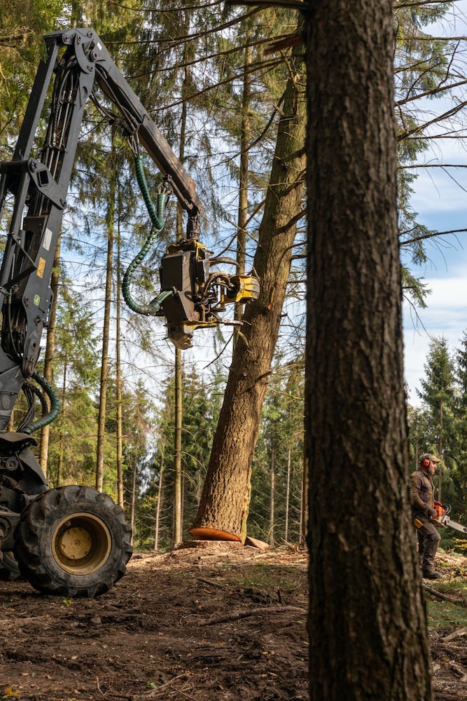 Langs bij de houtzagerij