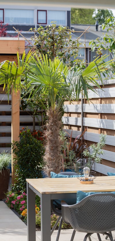 NuBuiten de Grote tuinverbouwing Inspiratie tuin NuBuiten de Grote tuinverbouwing Inspiratie tuin