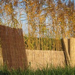 westwood rietmat natuurlijke schuttingen 60x600 cm nubuiten