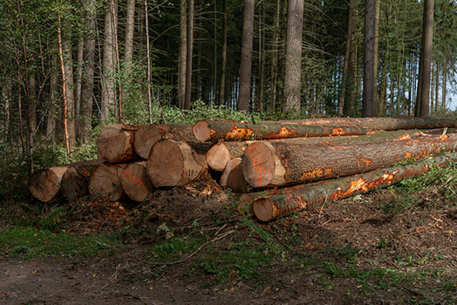 NuBuiten Duurzaamheid