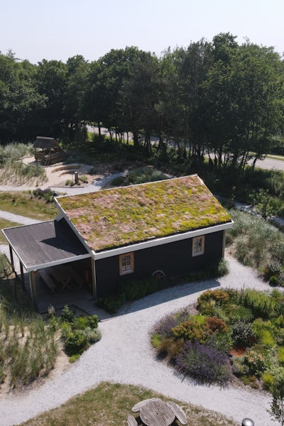 Project Texel Project Texel